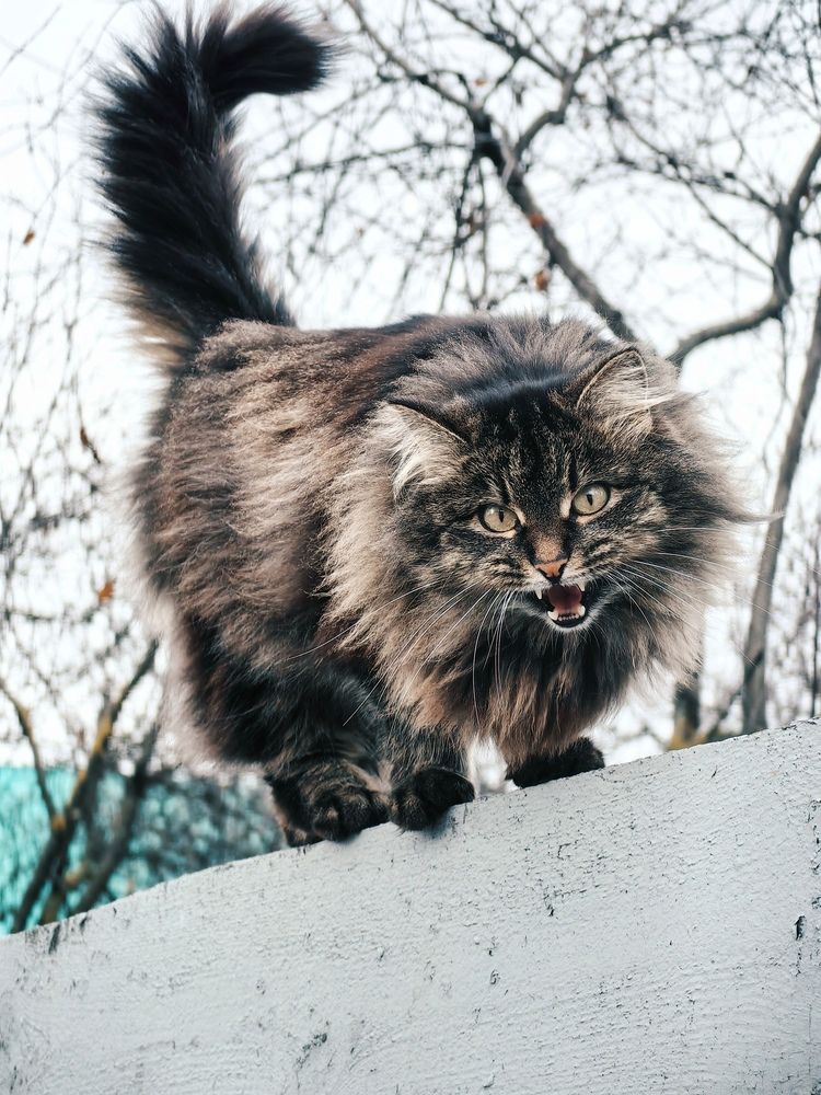 Photograph by Кристина Кублашвили