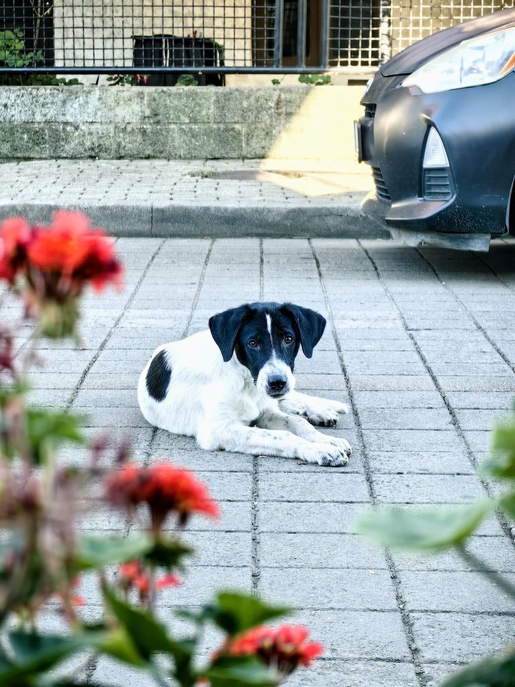 Photograph by Кристина Кублашвили