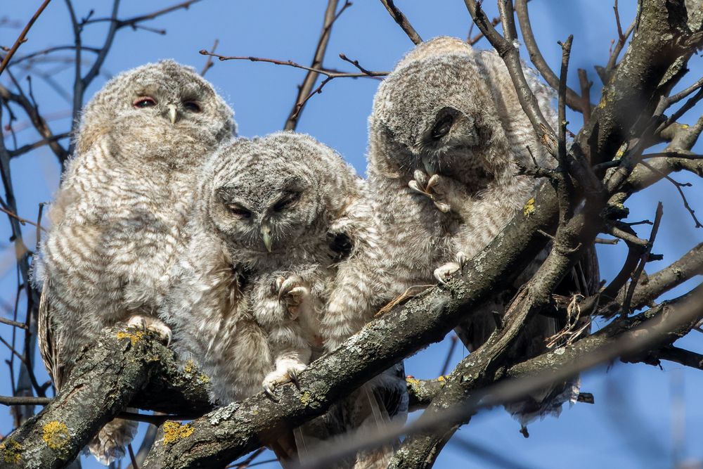 Photograph by Вера Машина