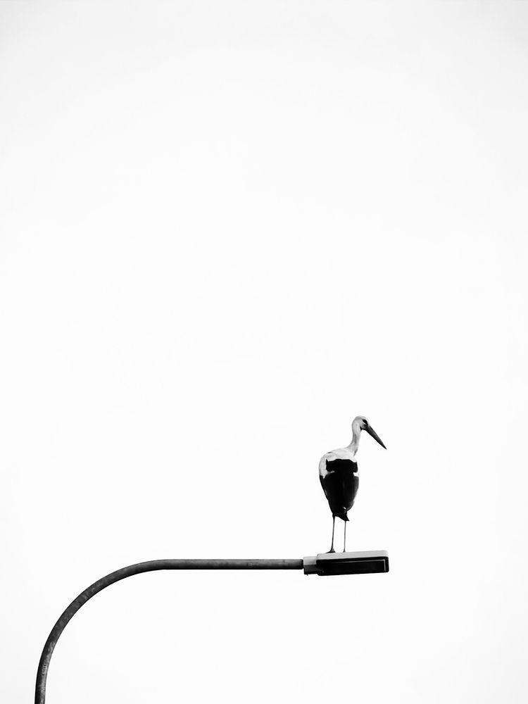 Photograph by Кристина Кублашвили