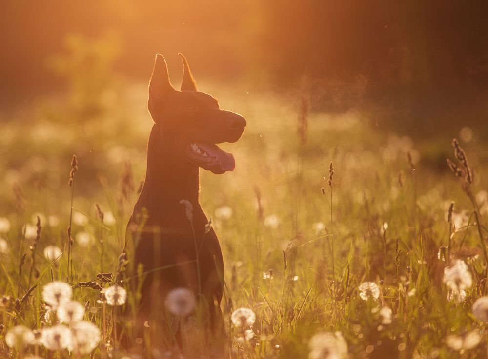 Photograph by Юлия Болдинова