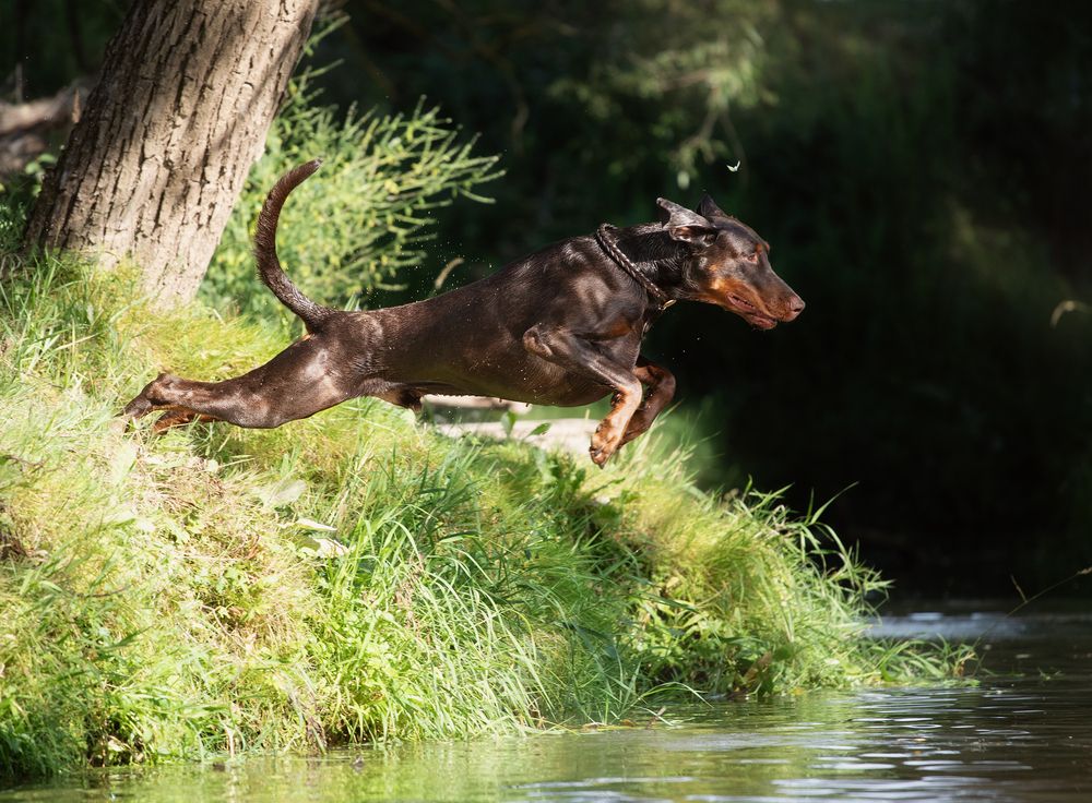 Photograph by Юлия Болдинова