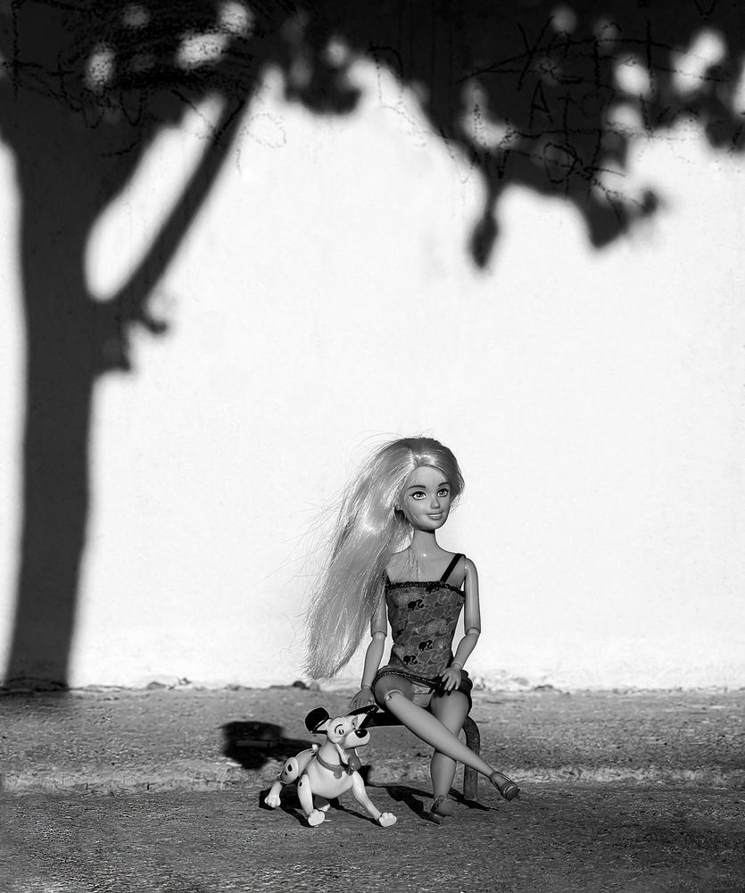 “Between Light and Shadow”