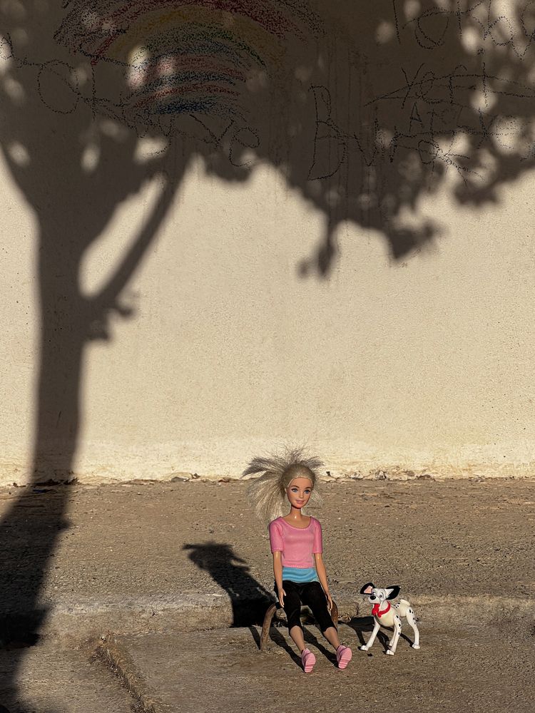 A quiet moment beneath the trees shadow