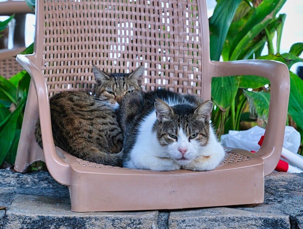 Photograph by Ильдар Балеев