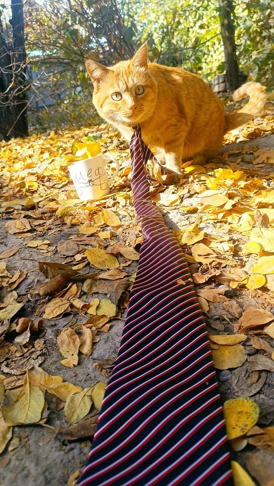 Photograph by Ангелина Воронцова