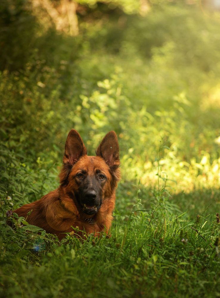 Photograph by George Sorin