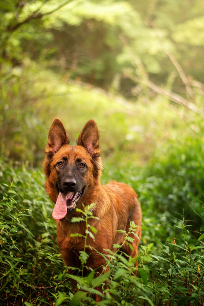 Photograph by George Sorin