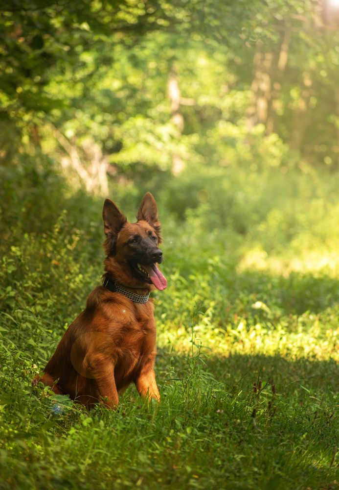 Photograph by George Sorin