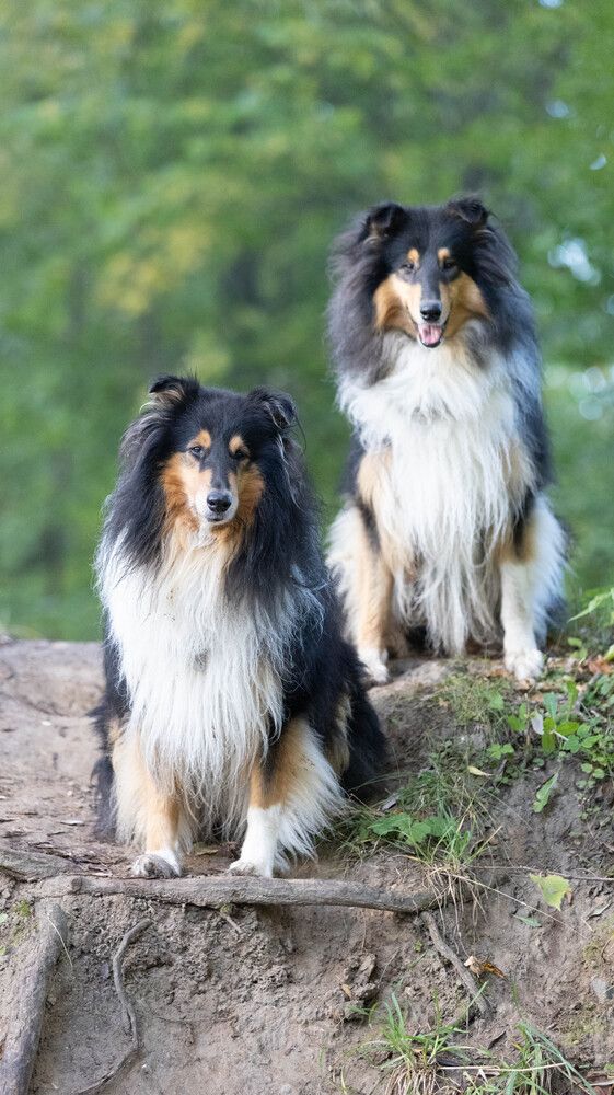 Photograph by Евгения Осипова