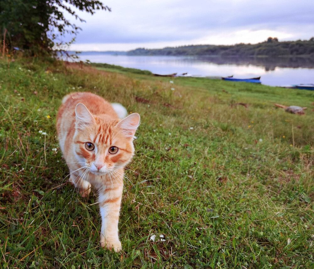 Photograph by Юлия