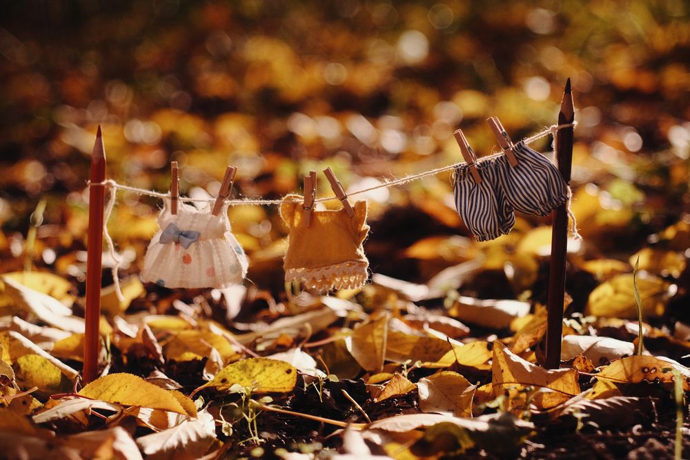 Фотография автора Анна Опанасенко