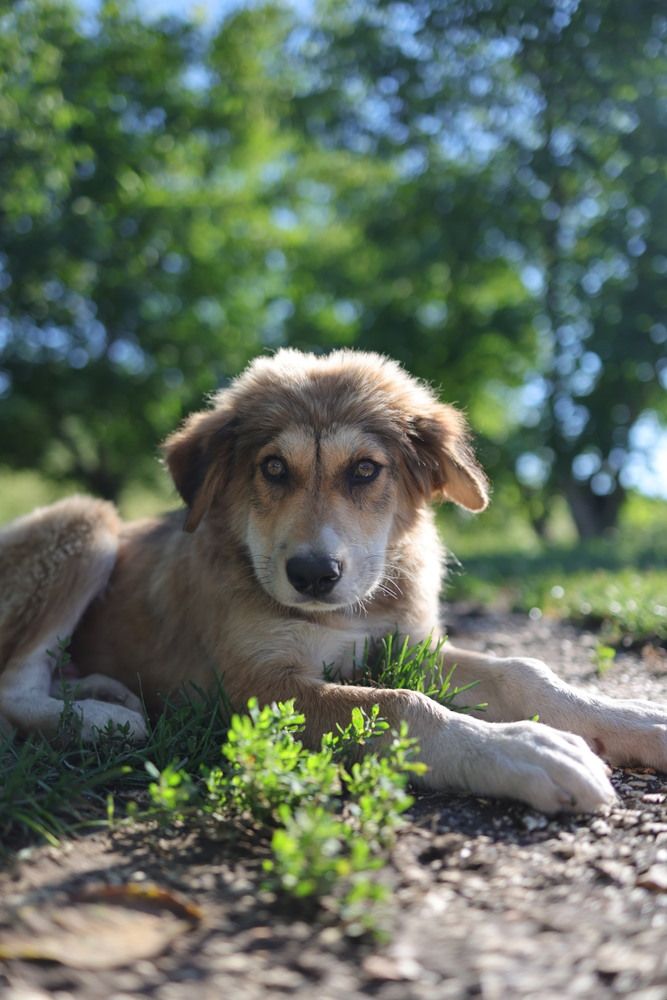 Photograph by Одаренко Ольга