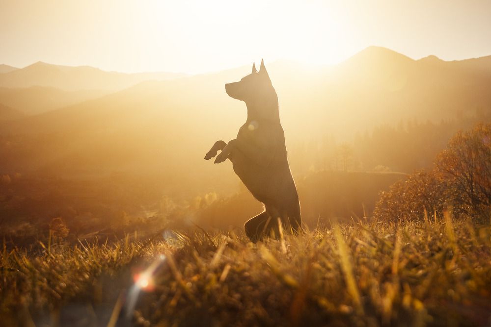 Photograph by Sofiia Lapta