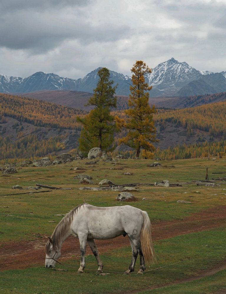 Photograph by Евгений Яковлев