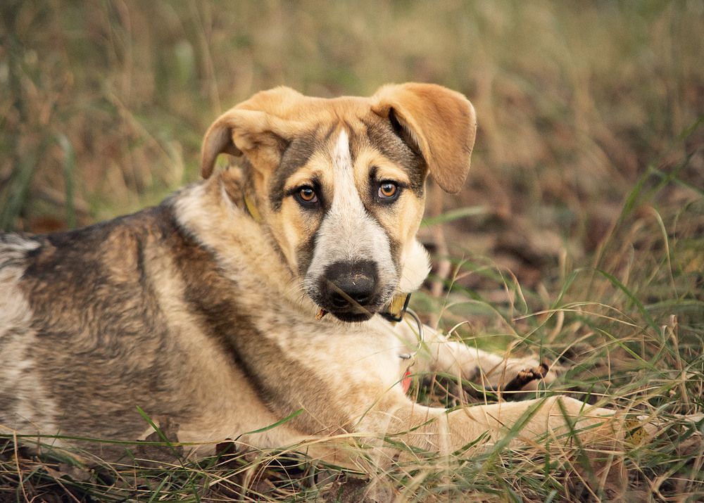 Photograph by Алена Сидорова