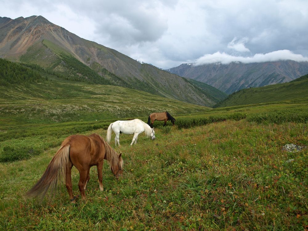 Photo #12790367