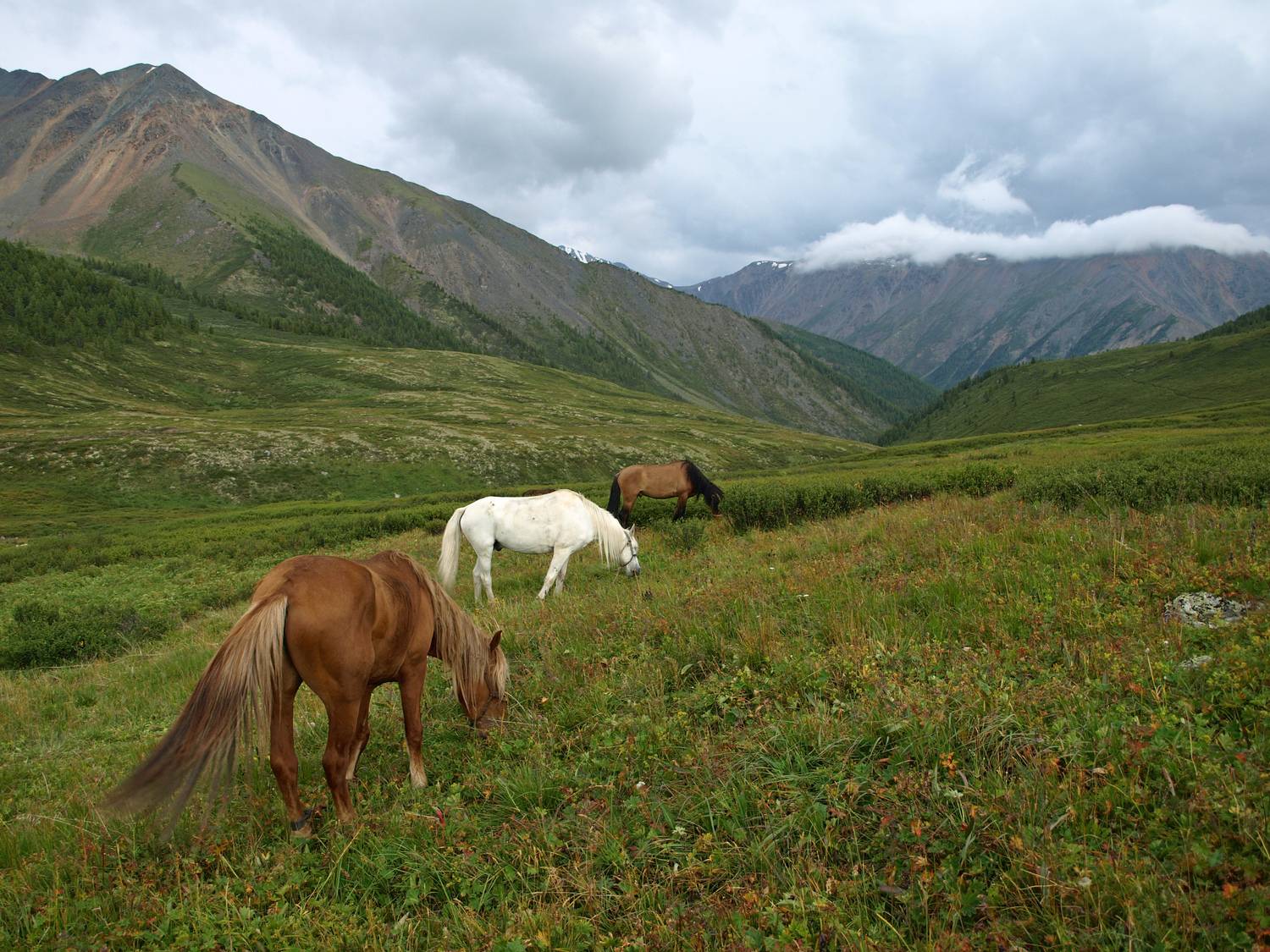 Photo #12790367