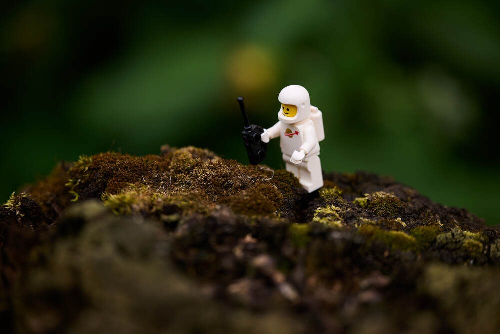 Photograph by Дмитрий Солодухин