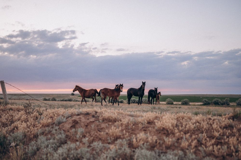 Photograph by Светлана Донская