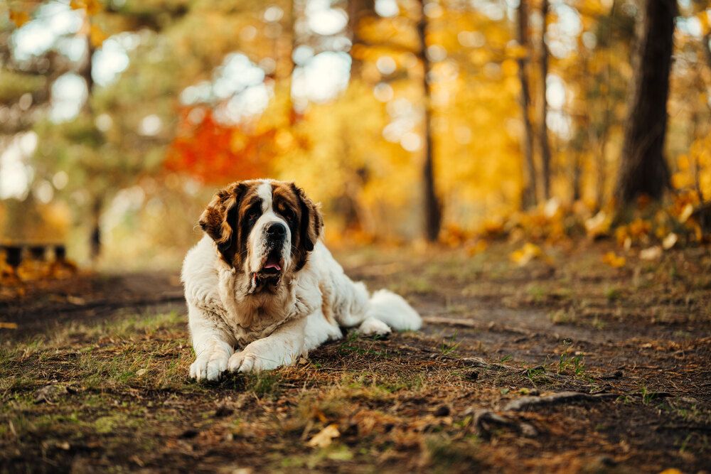 Photograph by Diana Sklarova