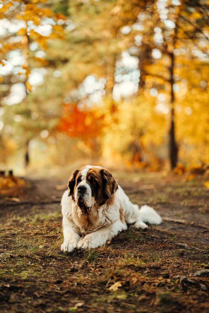 Photograph by Diana Sklarova