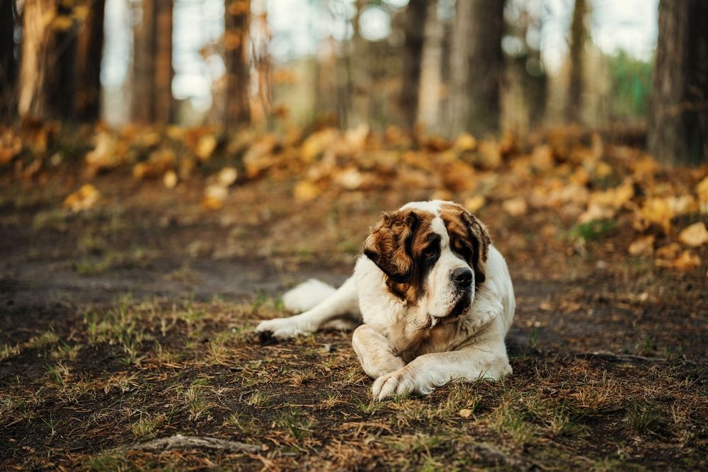 Photograph by Diana Sklarova