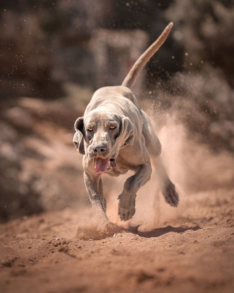 Фотография автора Almasconpelo