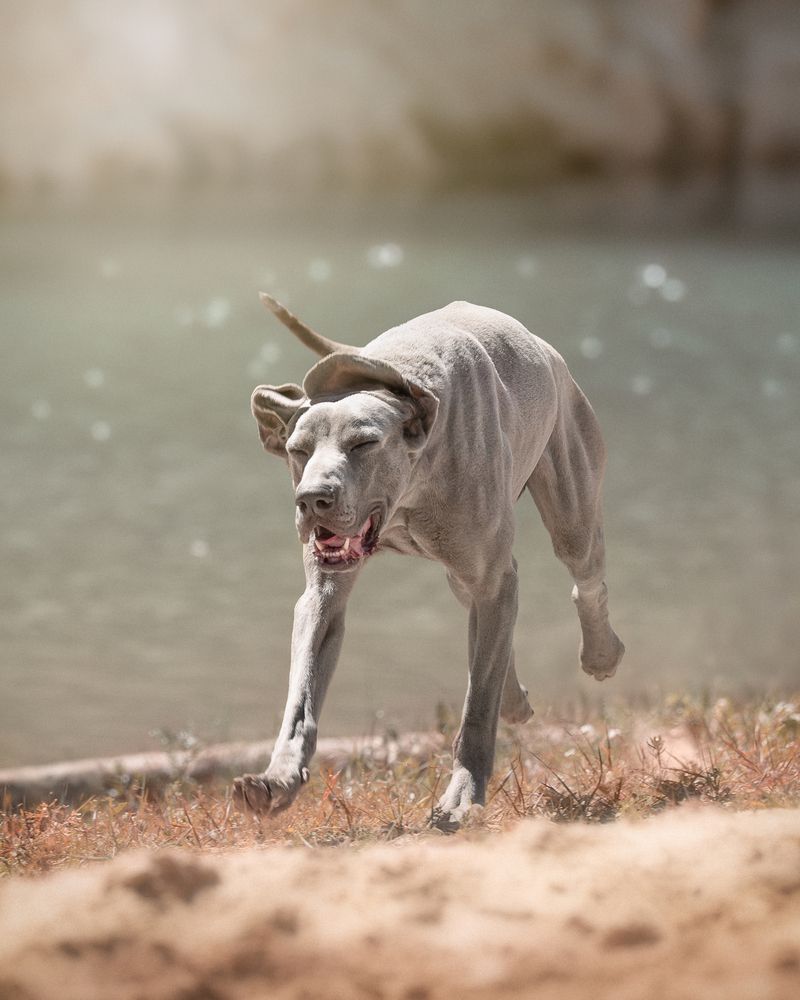 Фотография автора Almasconpelo