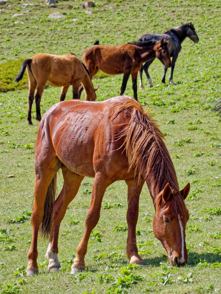Фотография автора Андрей Панин