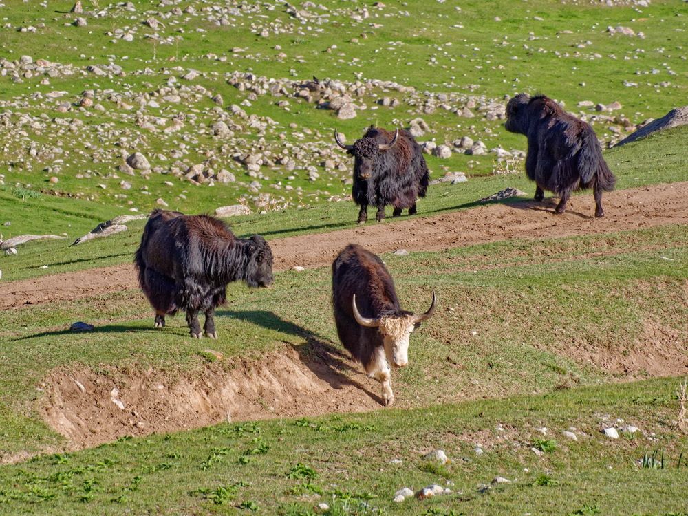 Photograph by Андрей Панин