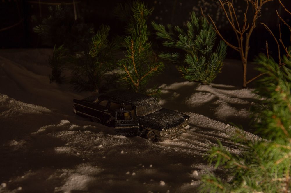 Фотография автора Елена Максимова