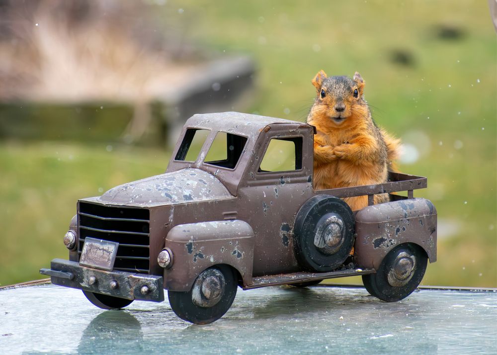 Фотография автора Carla Rodrigues