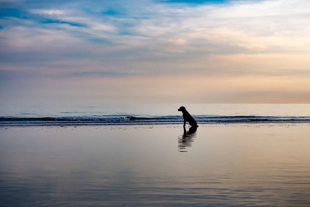 Photograph by Caterina Giovannitti