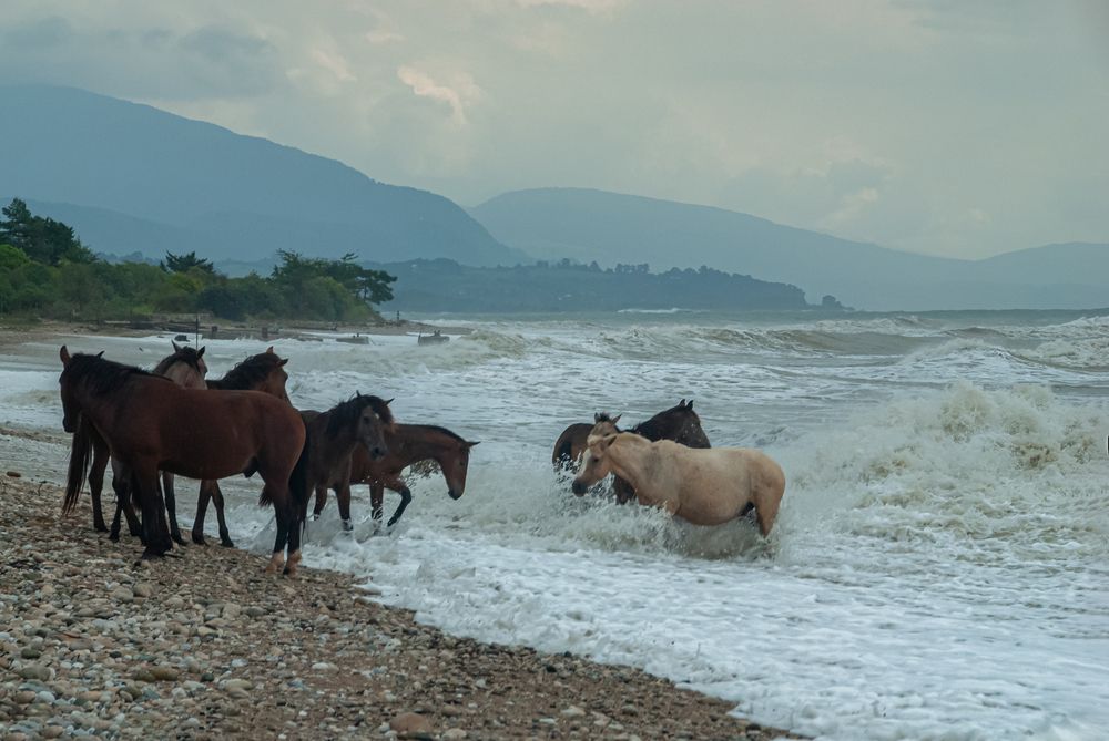 Photograph by Римма Волченко