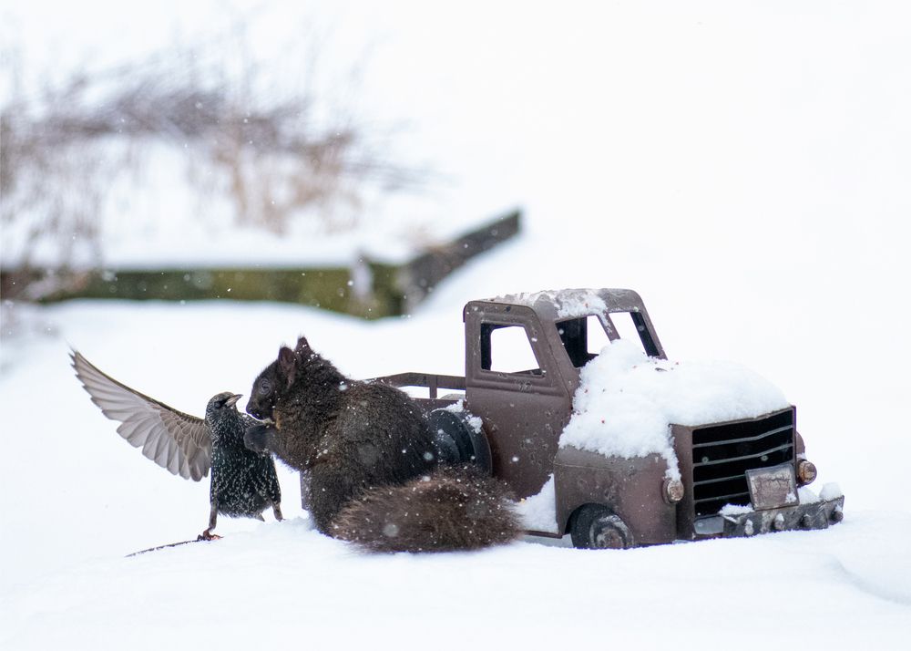 Photograph by Carla Rodrigues