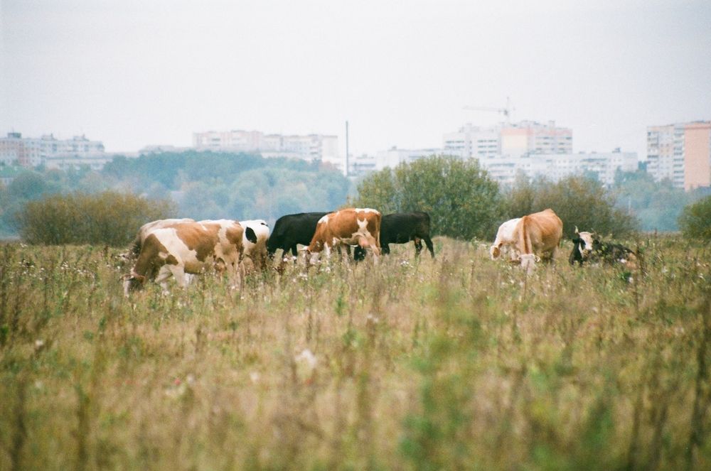 Photograph by Сергей Зятиков
