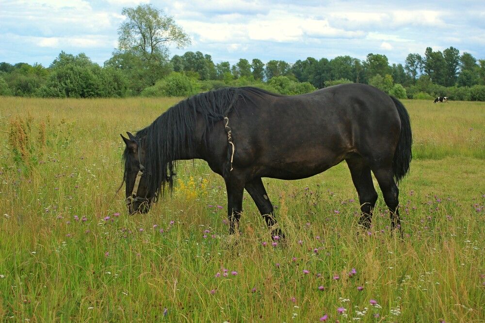 Photograph by Сергей Зятиков