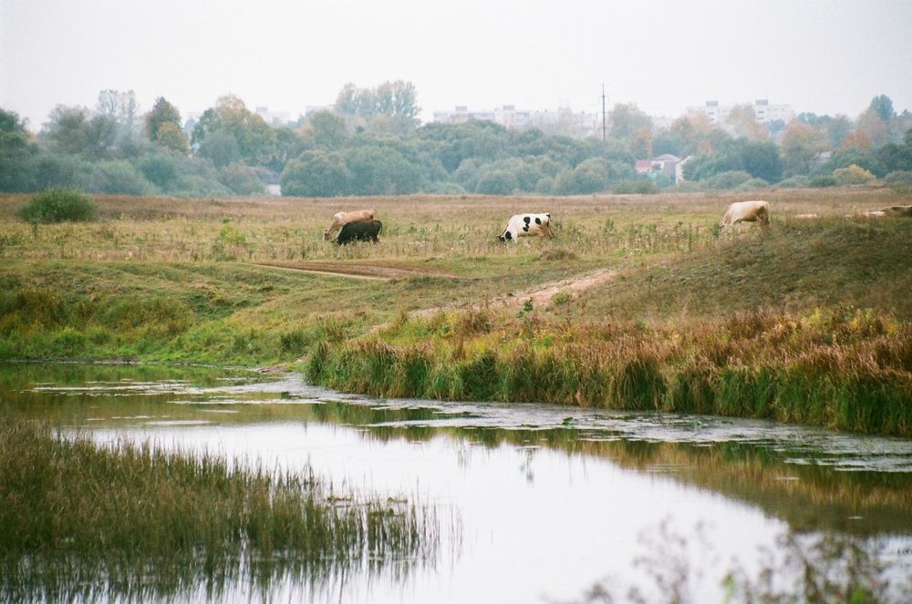 Photograph by Сергей Зятиков