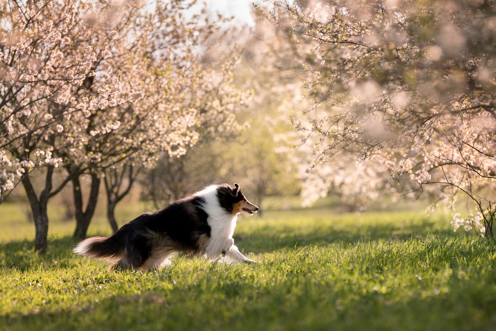 Photograph by Elena Yakuseva