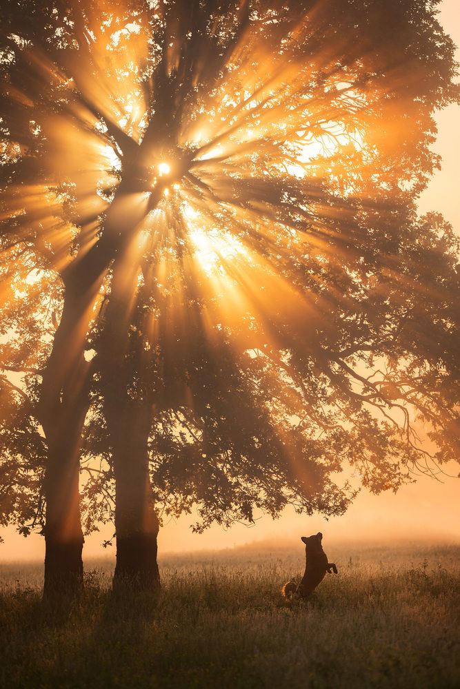 Photograph by Elena Yakuseva