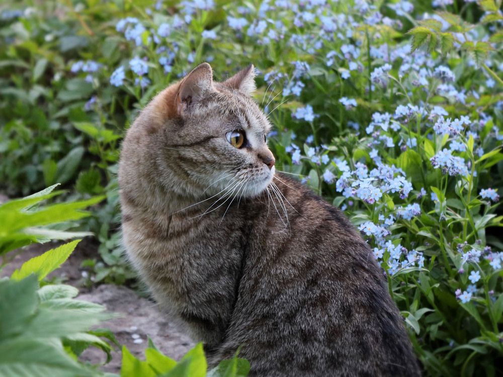 Photograph by Марианна Браун