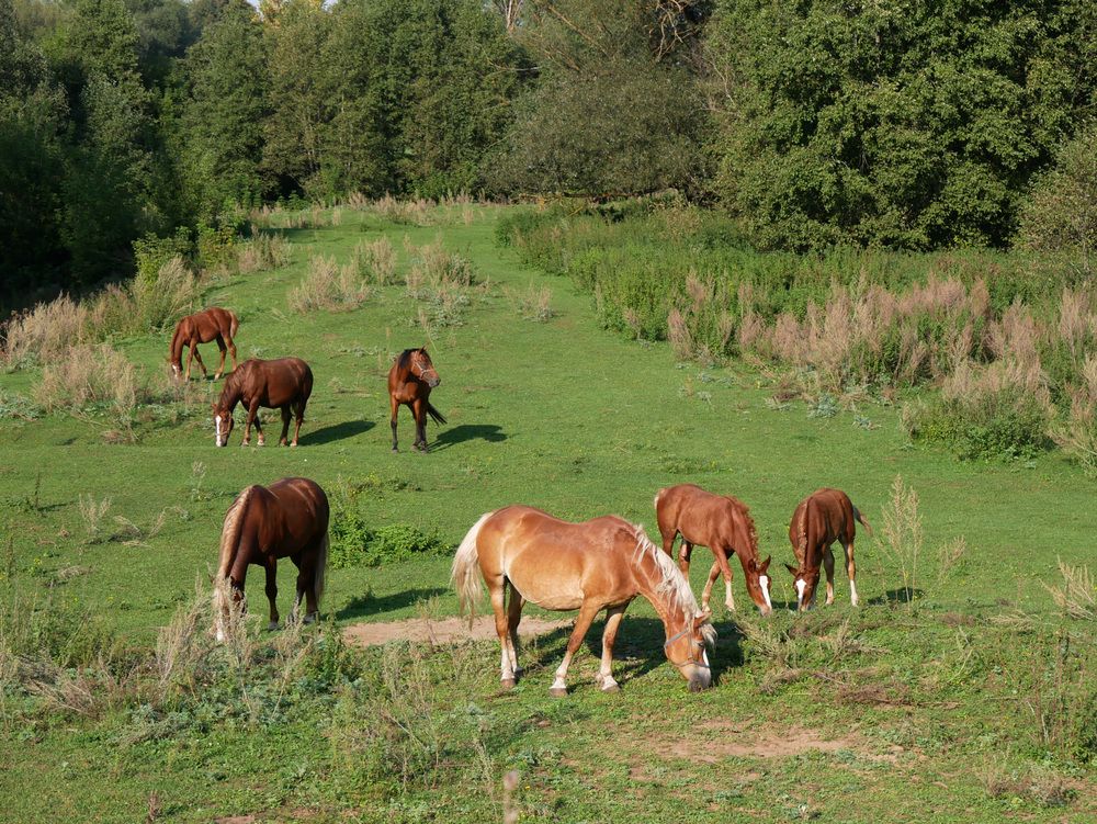 Photograph by Сергей Забиякин