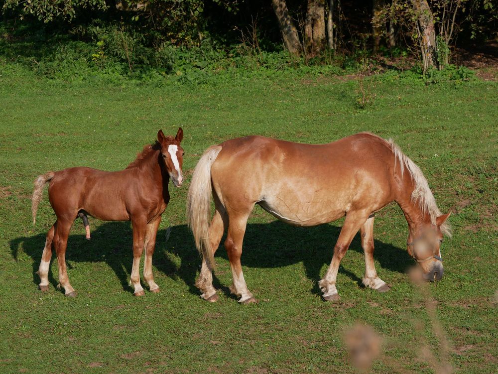 Photograph by Сергей Забиякин