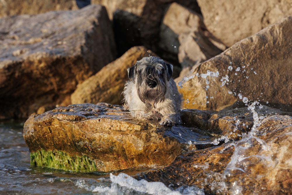 Photograph by Наталья Кирина