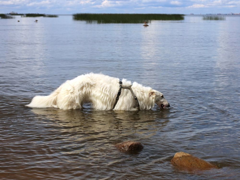 Photograph by Марианна Браун