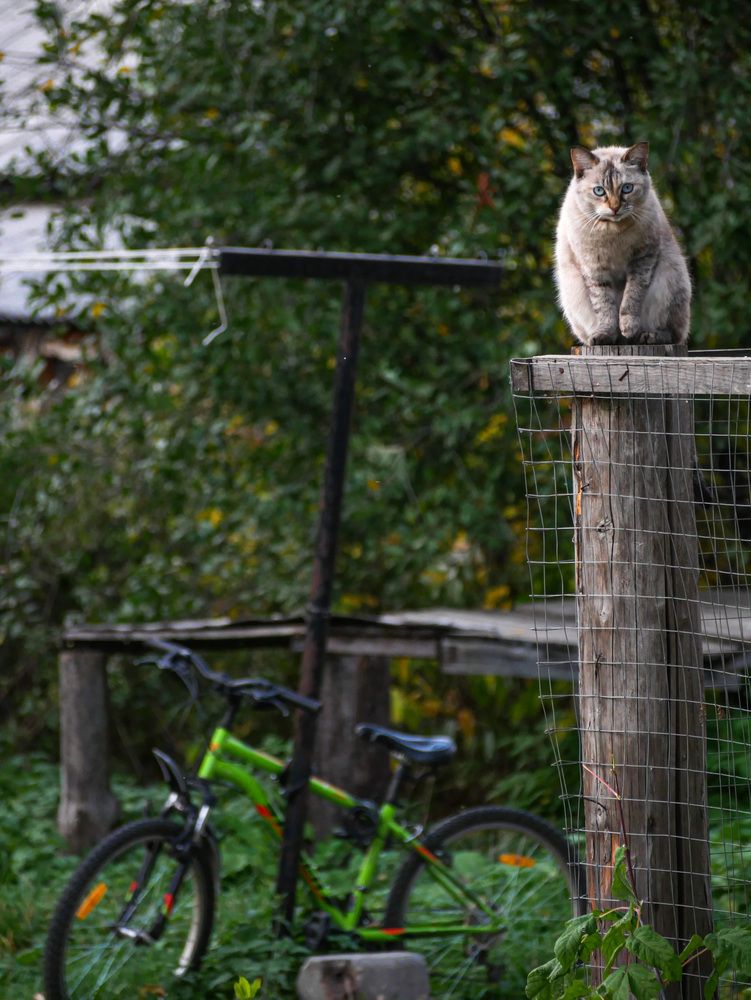 Photograph by Сергей Забиякин