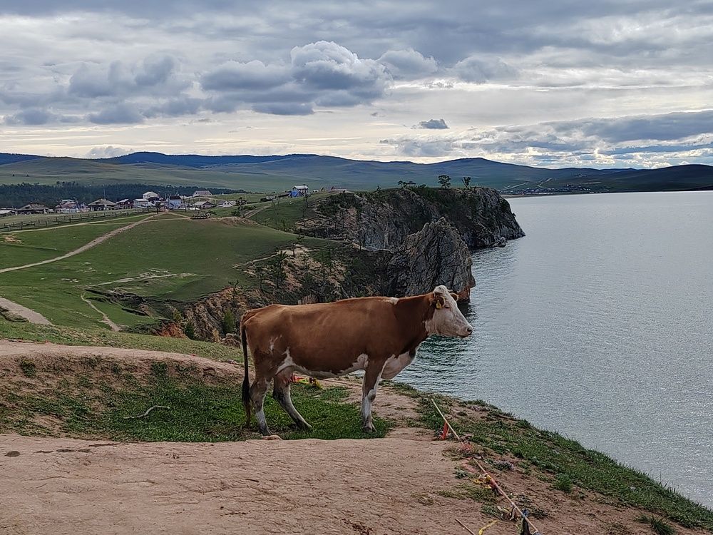 Photograph by Ольга Рыбина