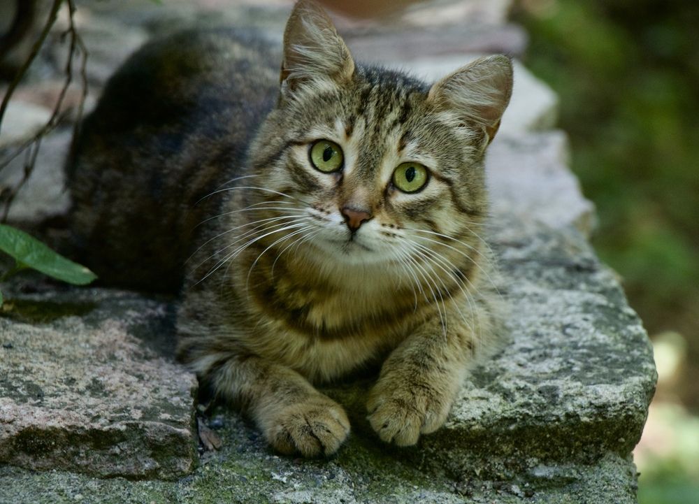 Photograph by Татьяна Новикова