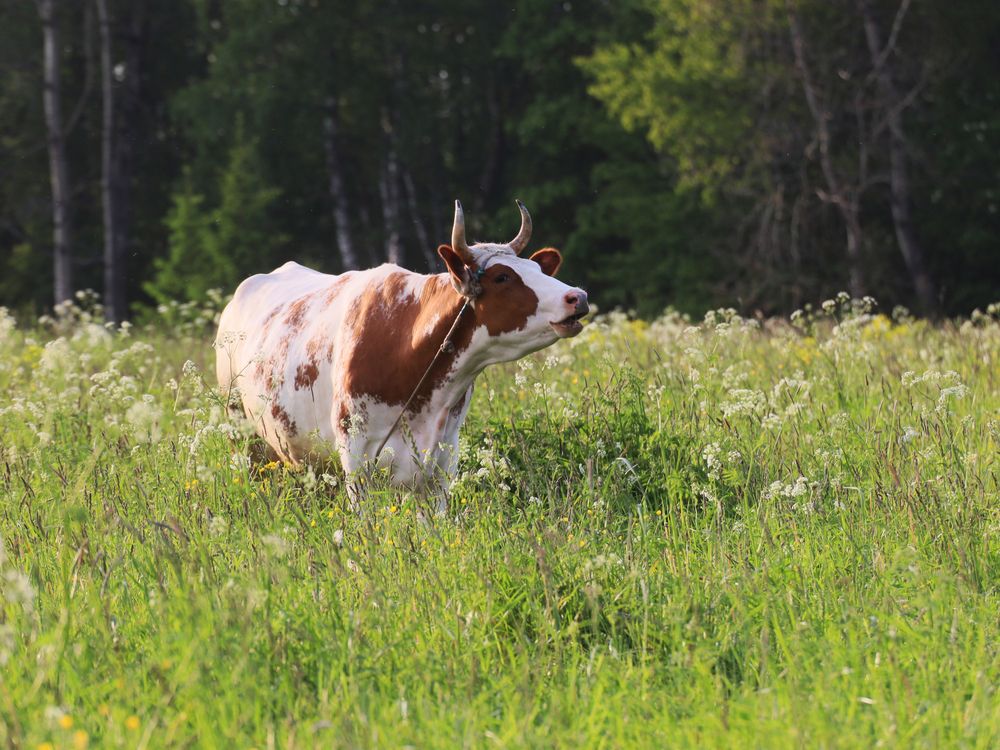 Photograph by Марианна Браун